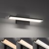 Fischer & Honsel Pare Wandleuchte LED Schwarz, 1-flammig