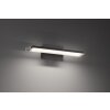 Fischer & Honsel Pare Wandleuchte LED Schwarz, 1-flammig