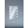 Fischer & Honsel Spiegel Wandleuchte LED Silber, 1-flammig