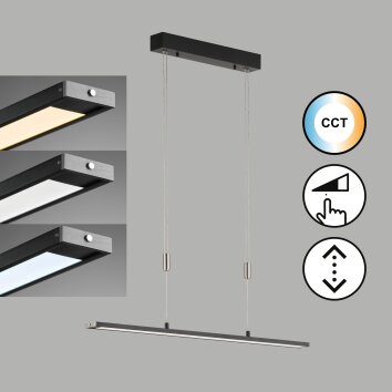 Fischer & Honsel Metz Pendelleuchte LED Schwarz, 1-flammig