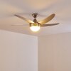 Morino Deckenventilator Nickel-Matt, Silber, 2-flammig, Fernbedienung