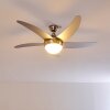 Morino Deckenventilator Nickel-Matt, Silber, 2-flammig, Fernbedienung