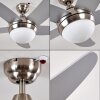 Morino Deckenventilator Nickel-Matt, Silber, 2-flammig, Fernbedienung