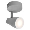 LEDVANCE Led Spot Deckenleuchte Grau, 1-flammig