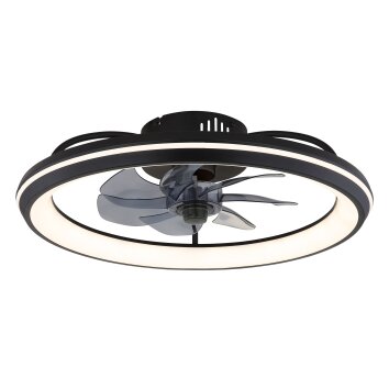 Globo Celeste Deckenventilator LED Schwarz, 1-flammig, Fernbedienung