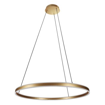 Steinhauer Ringlux Pendelleuchte LED Gold, 2-flammig