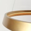 Steinhauer Ringlux Pendelleuchte LED Gold, 1-flammig