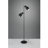 Trio Agudo Stehlampe Schwarz, 2-flammig