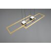 Trio ALBANY Pendelleuchte LED Schwarz-Gold, 1-flammig, Fernbedienung