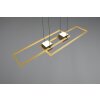 Trio ALBANY Pendelleuchte LED Schwarz-Gold, 1-flammig, Fernbedienung