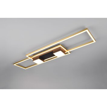 Trio ALBANY Deckenleuchte LED Schwarz-Gold, 1-flammig, Fernbedienung