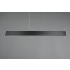 Trio Galway Pendelleuchte LED Schwarz, 1-flammig