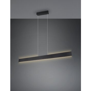 Trio Galway Pendelleuchte LED Schwarz, 1-flammig