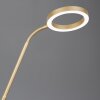 Trio Willis Stehlampe LED Gold, 2-flammig