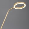 Trio Willis Stehlampe LED Gold, 2-flammig