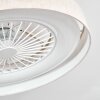 Benasal Deckenventilator mit Beleuchtung 55 cm LED Weiß, 1-flammig, Fernbedienung