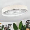 Benasal Deckenventilator mit Beleuchtung 55 cm LED Weiß, 1-flammig, Fernbedienung