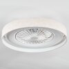 Benasal Deckenventilator mit Beleuchtung 55 cm LED Weiß, 1-flammig, Fernbedienung