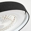 Benasal Deckenventilator mit Beleuchtung 55 cm LED Weiß, 1-flammig, Fernbedienung