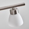 Ordan Pendelleuchte LED Nickel-Matt, 4-flammig