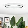 Kelan Deckenleuchte LED Silber, 1-flammig