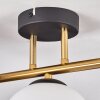 Gastor Deckenleuchte Glas 15 cm Gold, Schwarz, 3-flammig