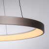 Paul Neuhaus Hoop Pendelleuchte LED Braun, 1-flammig