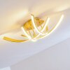 Aranu Deckenleuchte LED Gold, 4-flammig