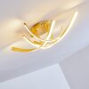 Aranu Deckenleuchte LED Gold, 4-flammig