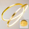 Stalon Pendelleuchte LED Gold, 1-flammig