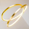 Stalon Pendelleuchte LED Gold, 1-flammig