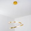 Stalon Pendelleuchte LED Gold, 1-flammig