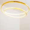 Stalon Pendelleuchte LED Gold, 1-flammig