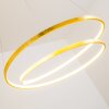 Stalon Pendelleuchte LED Gold, 1-flammig