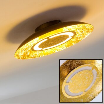 Kinosis Deckenleuchte LED Gold, 1-flammig