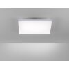 Paul Neuhaus FRAMELESS Panel LED Weiß, 1-flammig, Fernbedienung