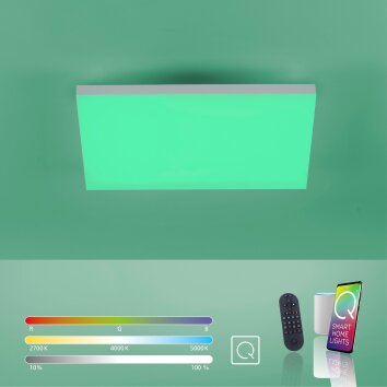 Paul Neuhaus Q-FRAMELESS Panel LED Weiß, 1-flammig, Fernbedienung, Farbwechsler